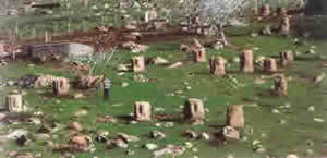 yesemek02.jpg