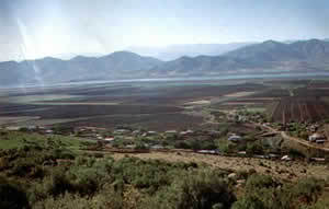 yesemek03.jpg