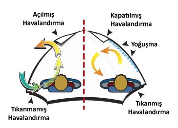 yogusma.jpg