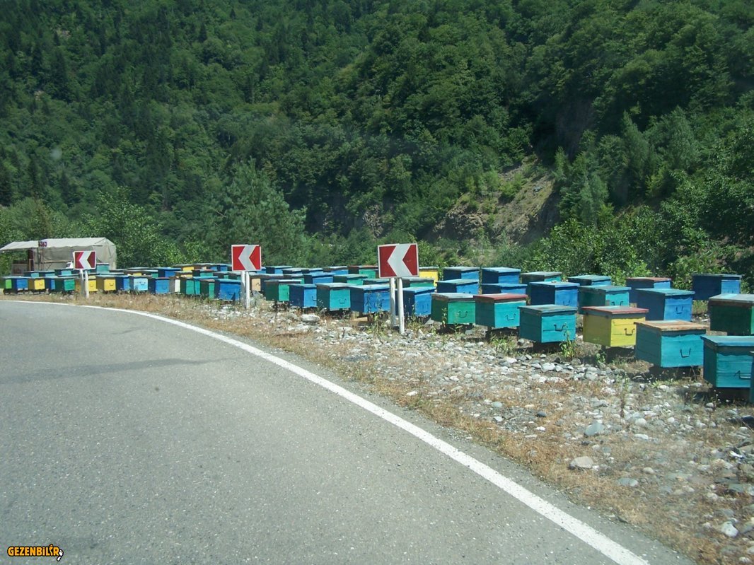 YOL KENARINDA BAL KOVANLARI.JPG