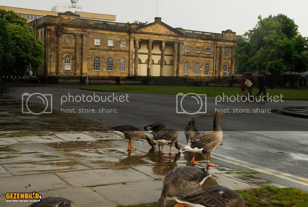york101.jpg