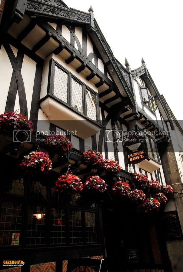 york133.jpg