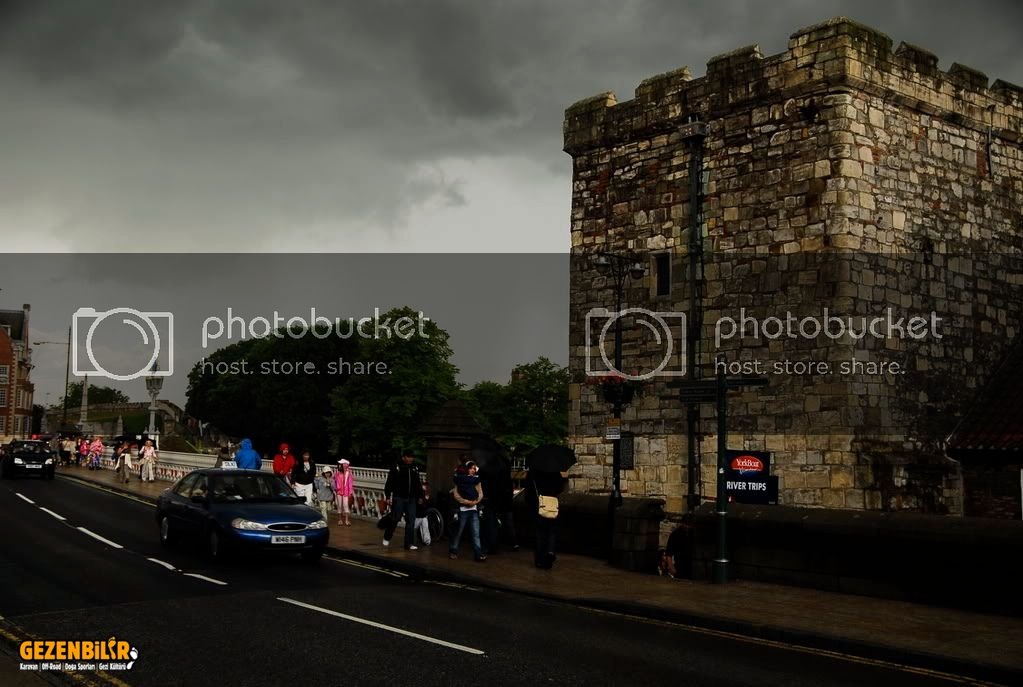 york137.jpg