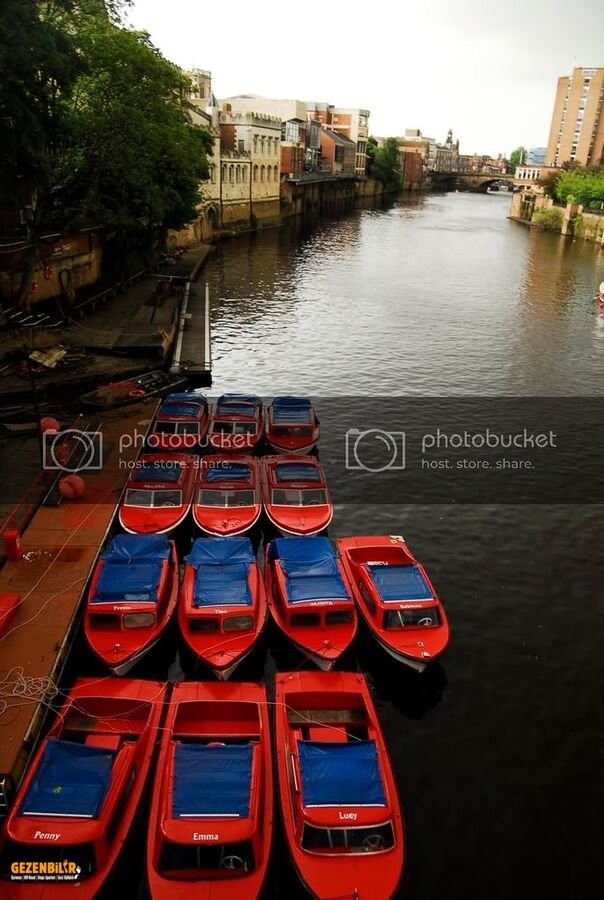 york139.jpg