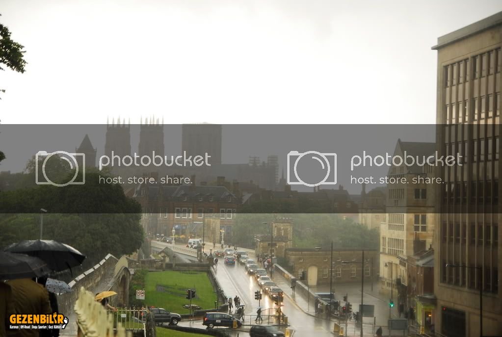 york143.jpg