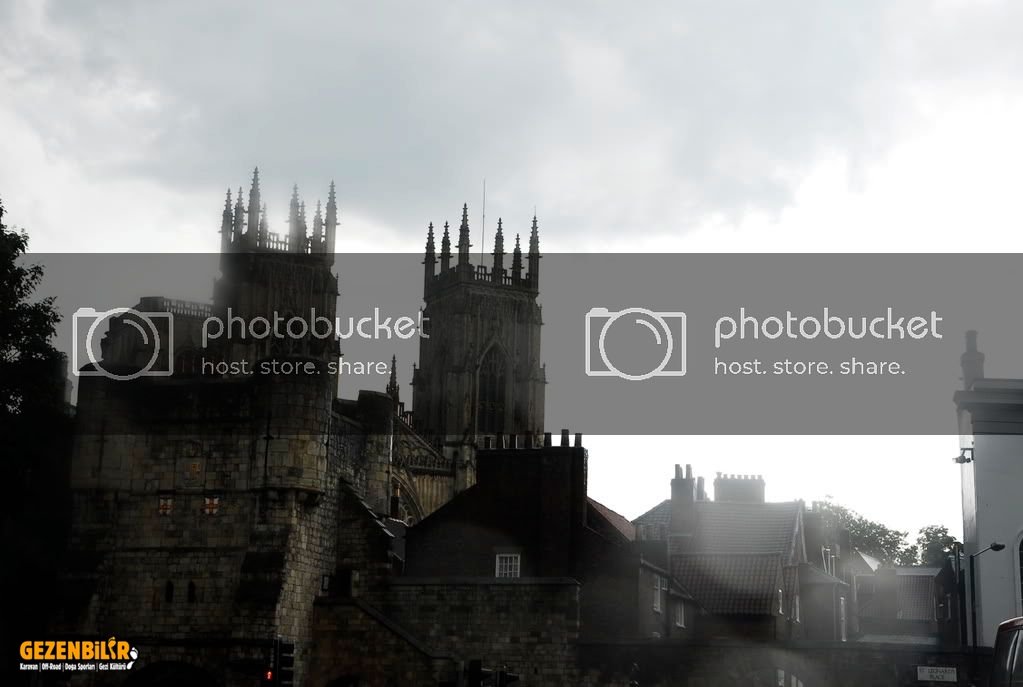 york181.jpg