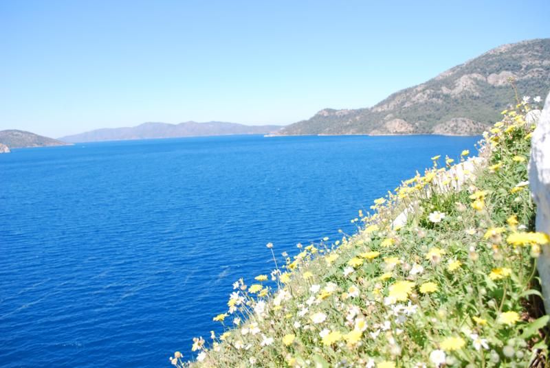 yukardan deniz_800x536.jpg