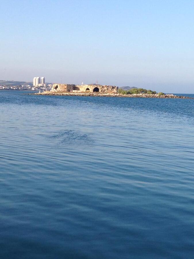 yumurtalÃƒÂƒÃ‚Â„ÃƒÂ‚Ã‚Â±k.jpg