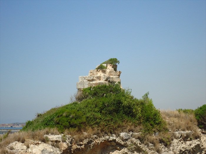 Yunus SÃƒÂƒÃ‚ÂƒÃƒÂ‚Ã‚Â¼tunu.jpg