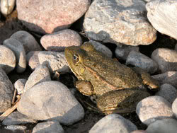 z0051.jpg