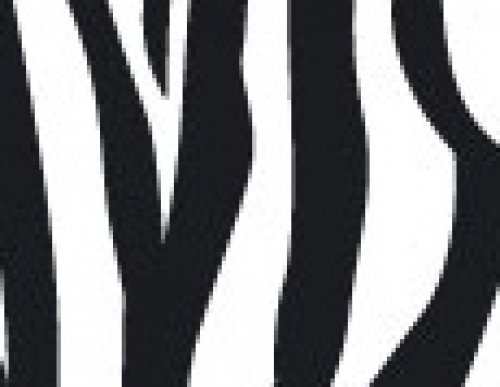 Zebra desen.jpg