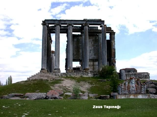 zeus.jpg