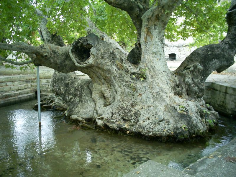 ZEYNE297.jpg