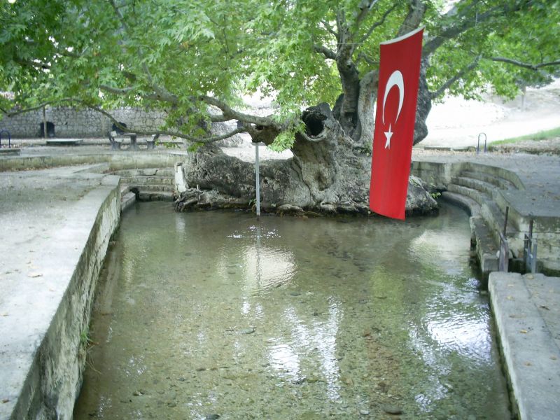 ZEYNE305.jpg
