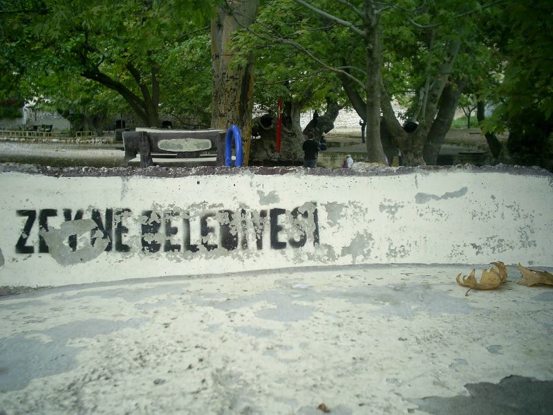 ZEYNE310.jpg