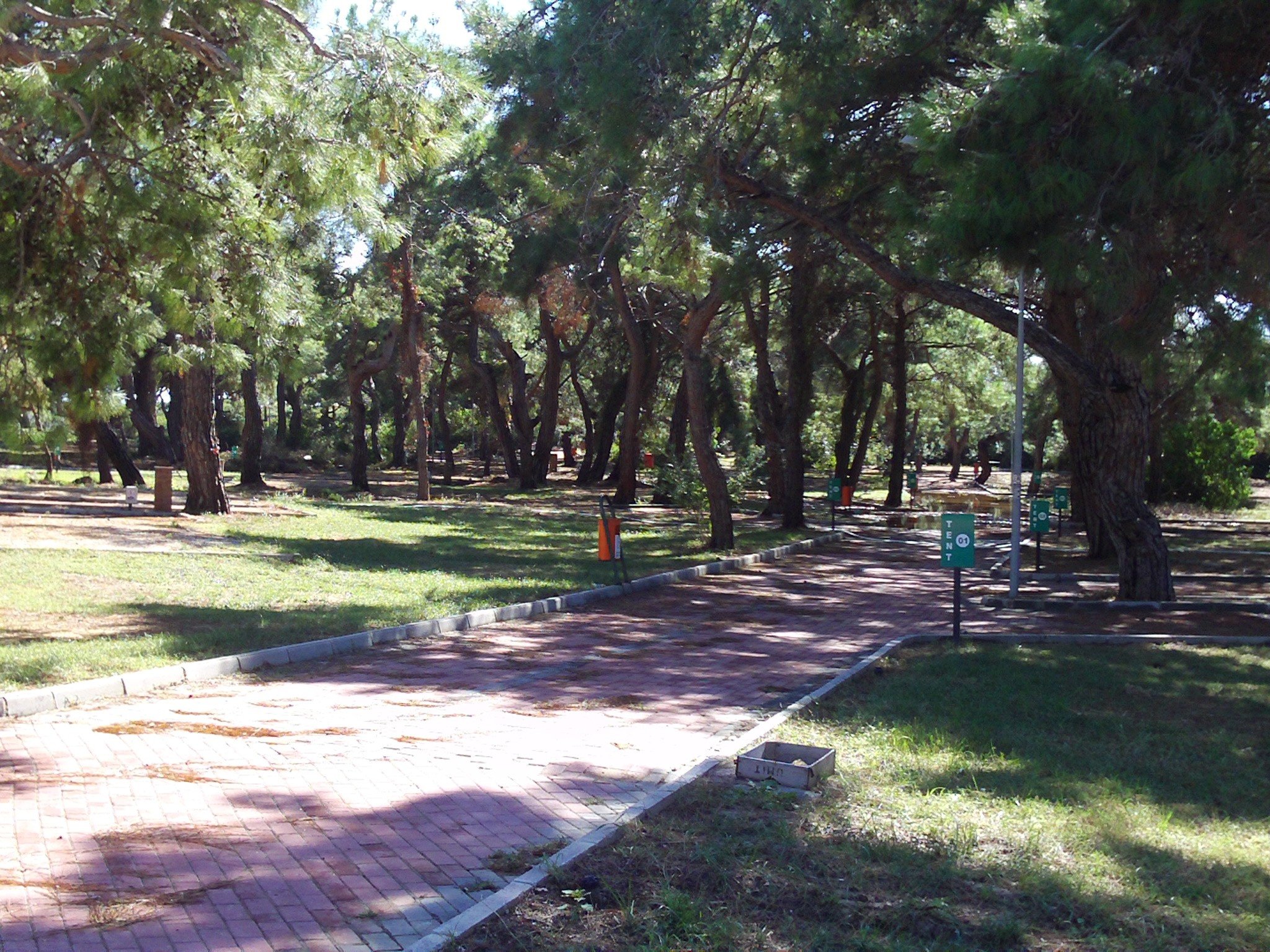 Zi6_0209.jpg