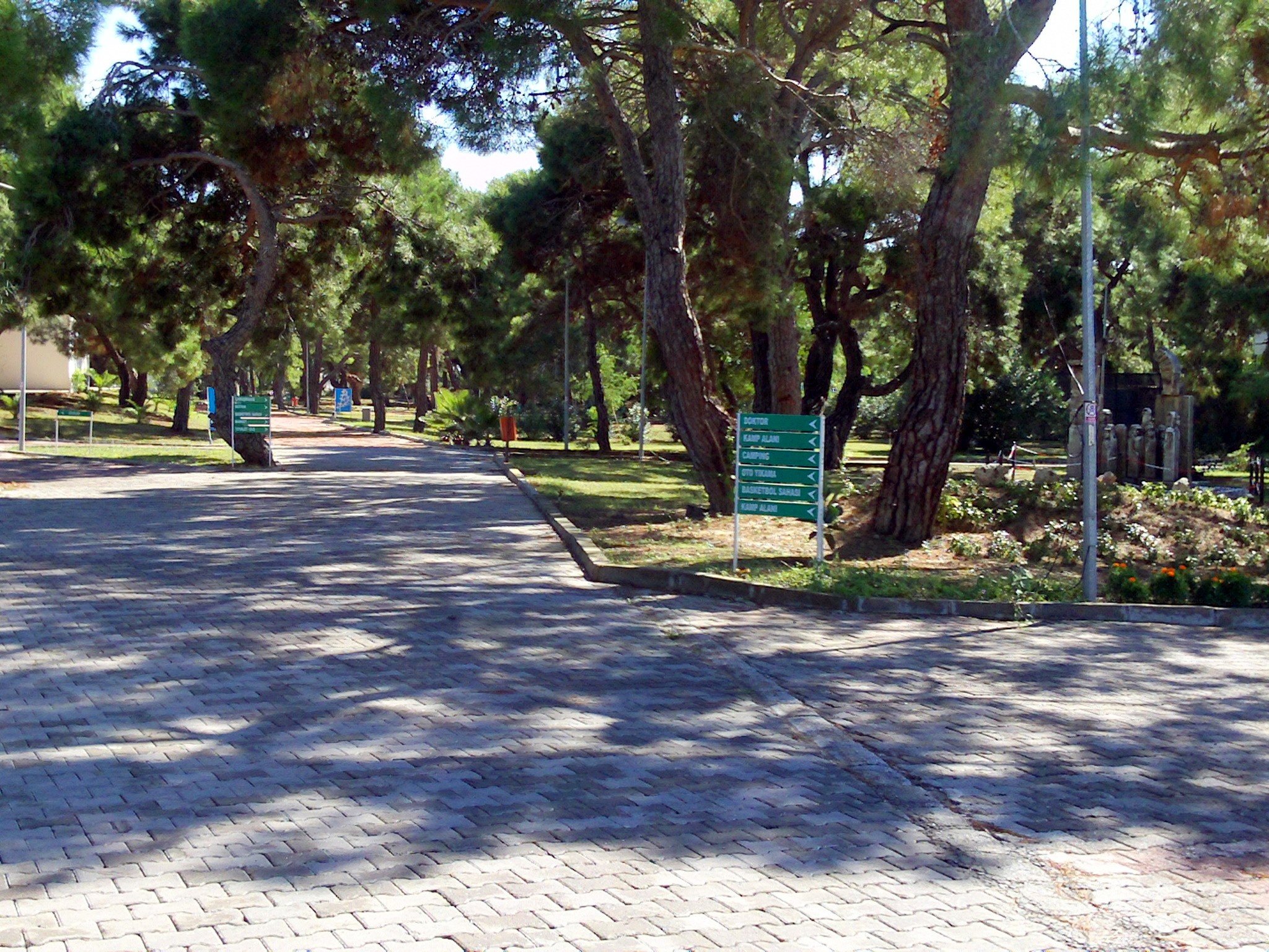 Zi6_0214.jpg