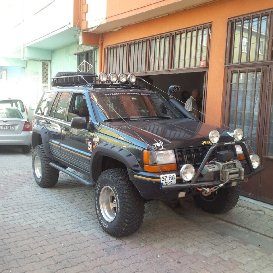 zj.jpg
