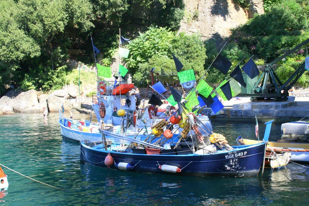 zporto3.jpg