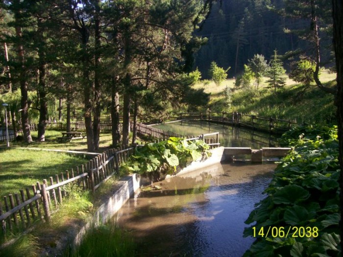 100_1686.jpg