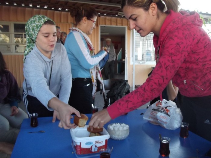 TezzMertek Kek  00026.jpg