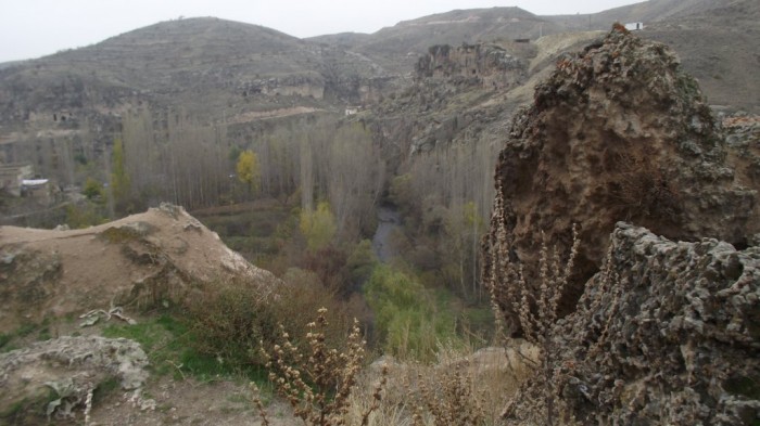 DSCF2811.JPG