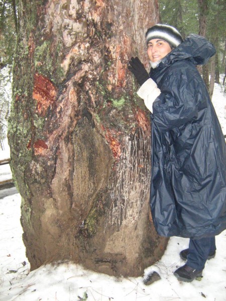 kÃƒÂƒÃ‚Â„ÃƒÂ‚Ã‚Â±zÃƒÂƒÃ‚Â„ÃƒÂ‚Ã‚Â±lcahamam-abant 024.JPG