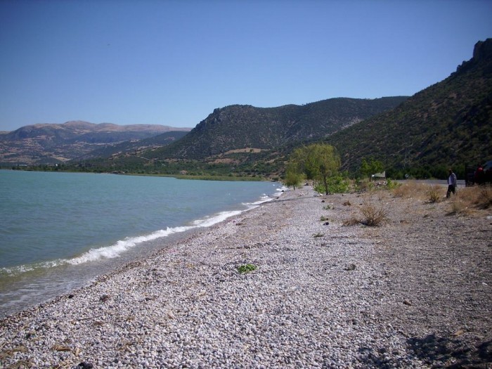 DSCI0040.JPG
