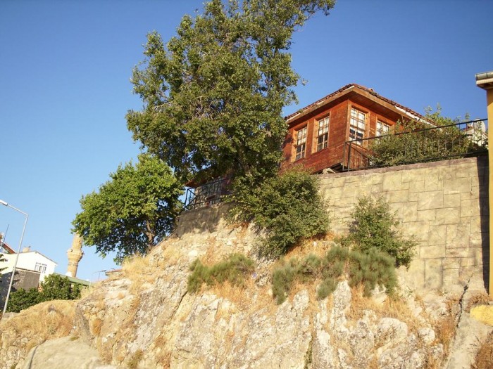DSCI0010.JPG