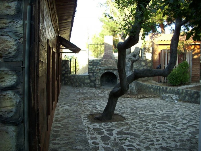 DSCI0019.JPG