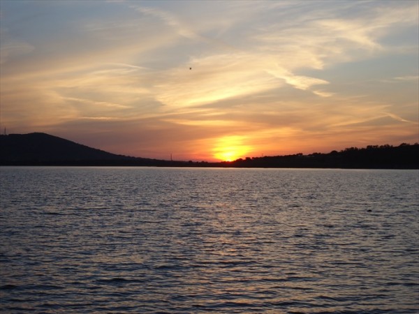 DSC08687.JPG