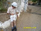 31-08-15-39-BirgiAslanKittyvePuppy.jpg