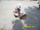 31-08-15-47-BirgiFesatPuppy.jpg