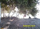 30-09-08-57-Oren-Akbuk9.jpg