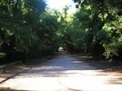 03-10-16-30-MarmarisMilliParkYol.jpg
