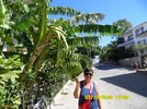 07-10-12-59-Datca-Muz.jpg