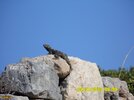 09-10-09-59-Knidos-Artiz.jpg