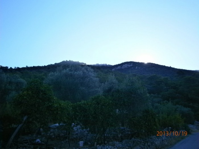 PA190001_800x600.JPG