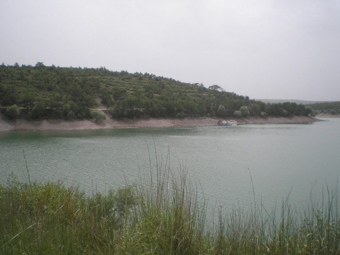 P6191954.JPG