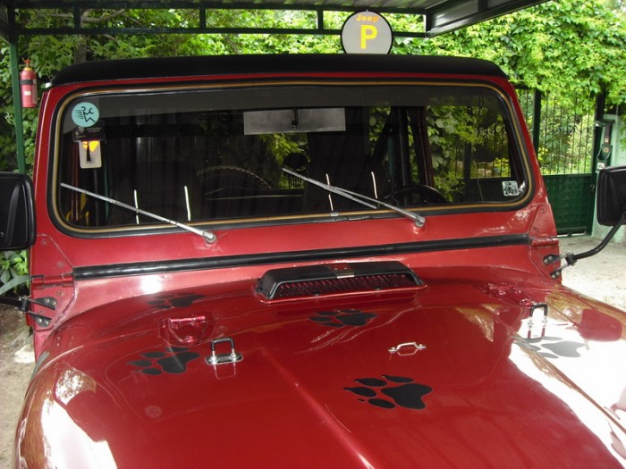 CJ7-242.jpg