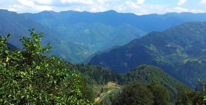 20140918_115019.jpg