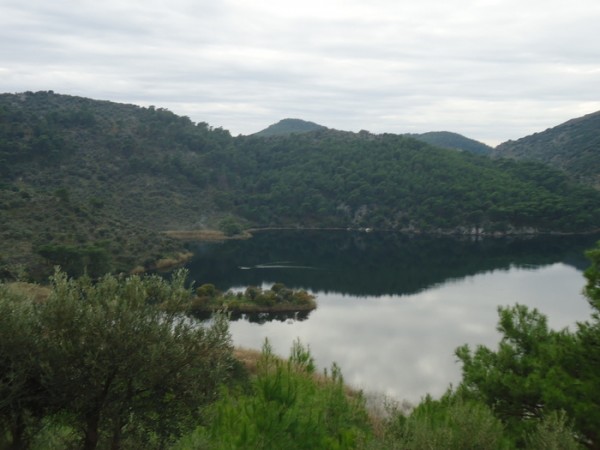 DSC09898.JPG