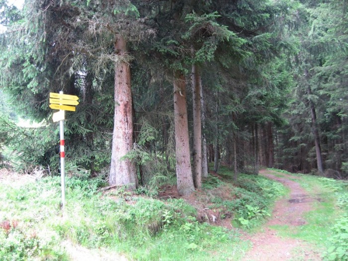 06.07.2011 105.JPG
