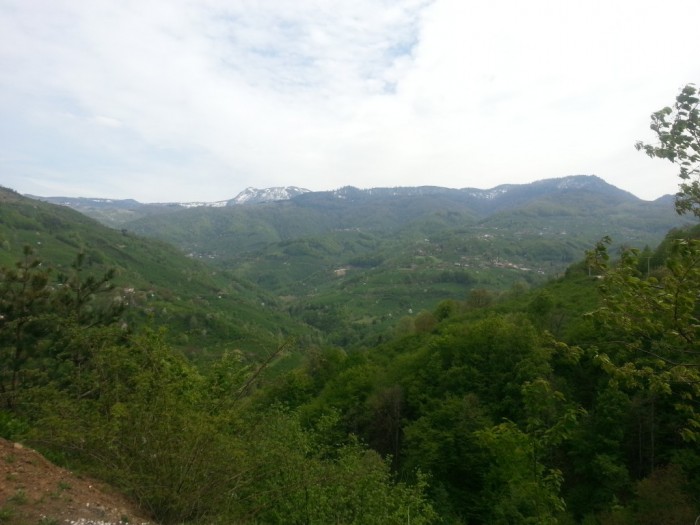 20150502_145256.jpg