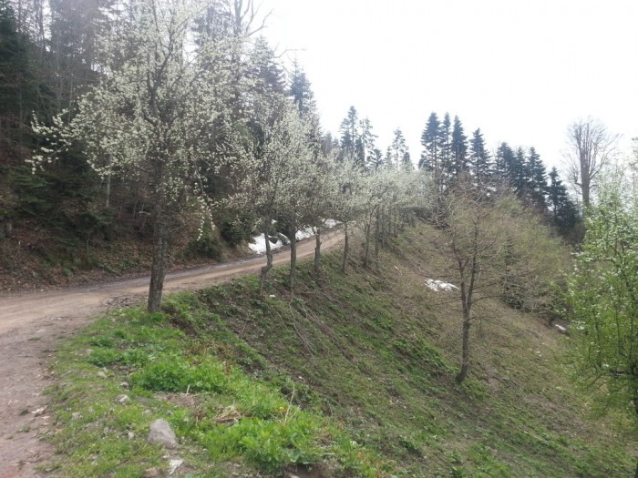 20150502_151953.jpg