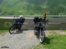 SAM_6169_zps24890286.jpg SAM_6169_zps24890286.jpg