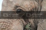 I7D_4122_zps892ac118.jpg