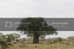 I7D_4007_zps6463deda.jpg