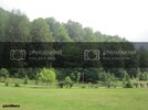IMG_0353_zps8fcdc2e7.jpg