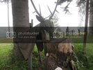 IMG_0463_zps7ef955c5.jpg